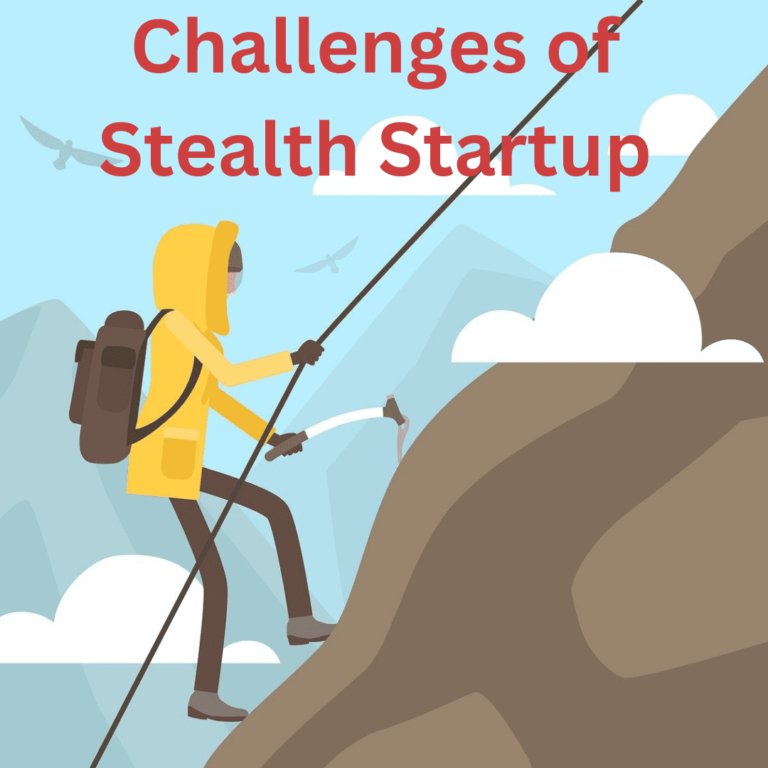 Stealth Startup